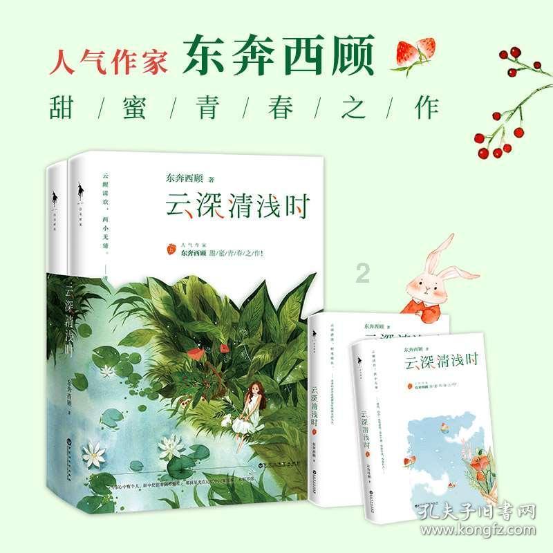 新高达破坏者